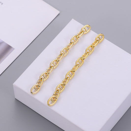 Designer new earrings fashion exaggerated metal earrings simple personality chain earrings long earrings